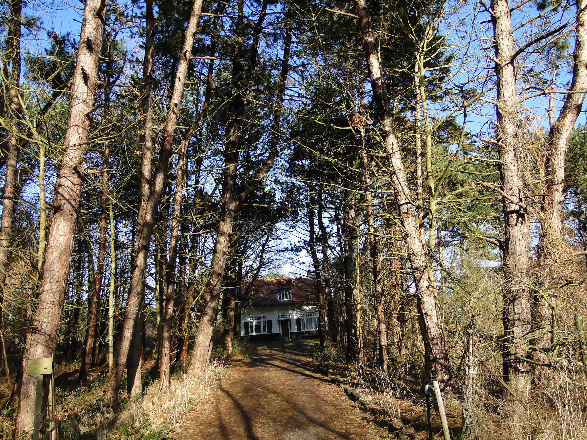 NWK 2010 184.jpg